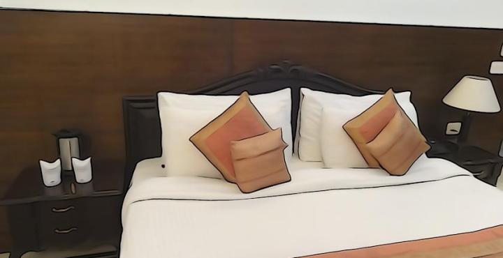 Hotel Comfort Zone Нью-Делі Екстер'єр фото